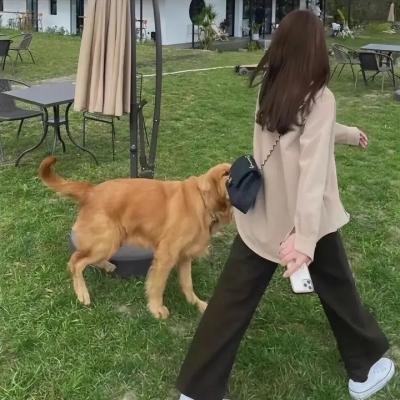 性爱成瘾的女人