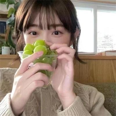 动物园先生